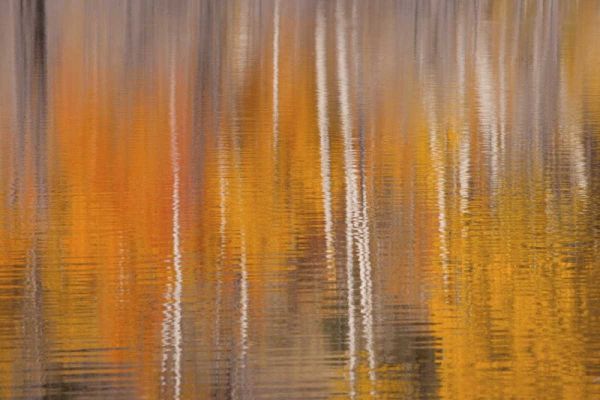 WA, Winthrop Autumn reflections on Beaver Pond